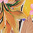 Print Swatch