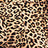 Leopard Swatch