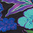 Print Swatch