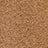 Camel Swatch