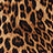 Leopard Swatch