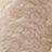 Cream Swatch