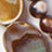 Multi Swatch