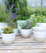 Small Ceramic Planter