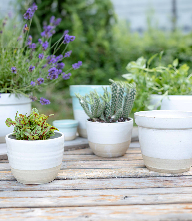 Small Ceramic Planter