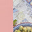 Multi Color Swatch