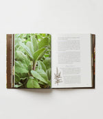 A Time To Plant: Southern Style Living