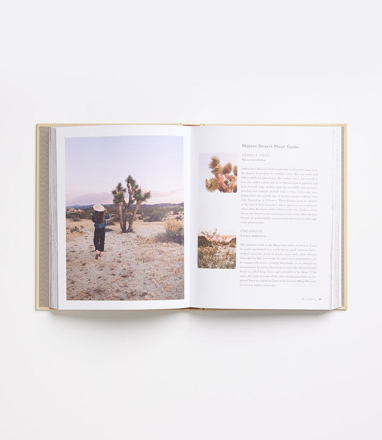At Home in Joshua Tree