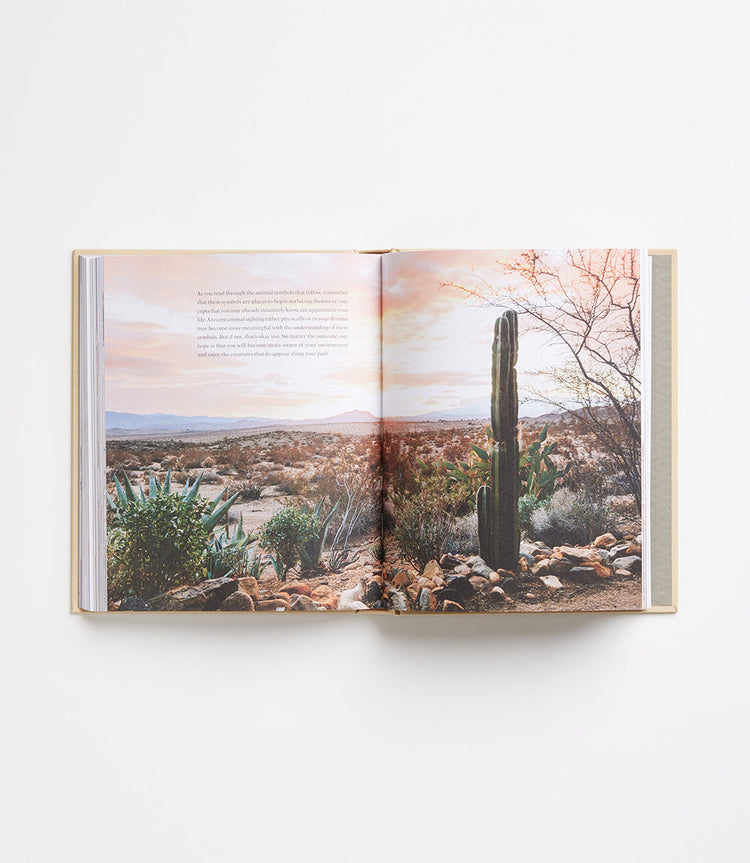 At Home in Joshua Tree