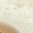 White Swatch