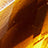 Gold Swatch