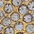Gold Swatch