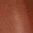 Tan Swatch