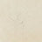 White With Brown Swatch
