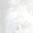 Silver Swatch