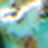 Turquoise Swatch