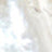 Silver Swatch