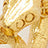 Gold Swatch