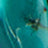 Turquoise Swatch