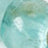 Green Swatch