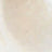 Silver Swatch
