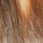 Brown Swatch