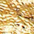 Gold Swatch