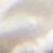 Silver Swatch
